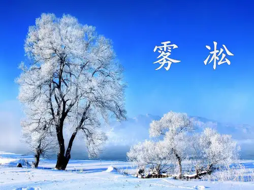 四年级上册语文课件-23 雾凇｜苏教版 (共32张PPT)
