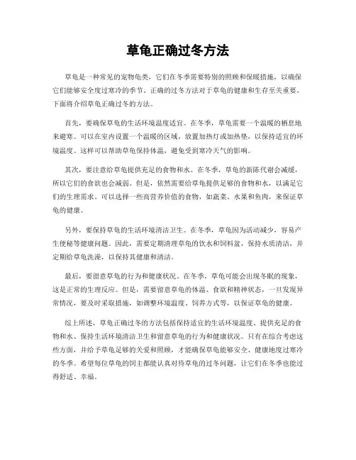 草龟正确过冬方法