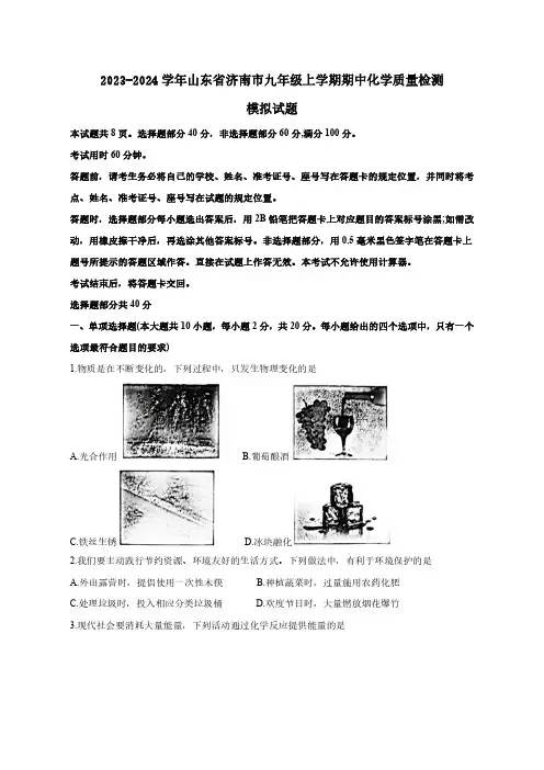 2023-2024学年山东省济南市九年级上学期期中化学质量检测模拟试题(含解析)