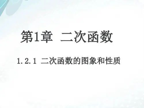 湘教版九年级数学下册1.2.1：二次函数的图象和性质课件(19张ppt)