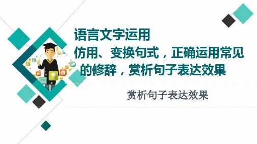 专题13  赏析句子表达效果-2023年高考语文知识点过关