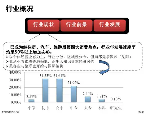 美容美体行业分析