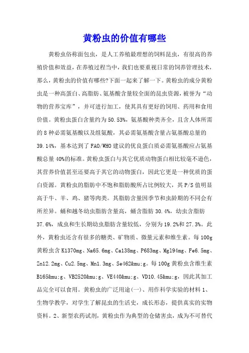 黄粉虫的价值有哪些