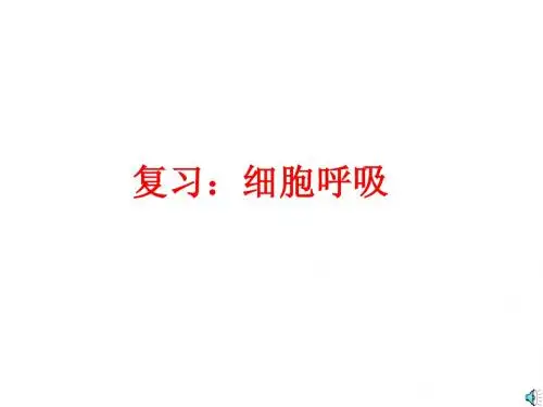 《ATP的主要来源-细胞呼吸》课件2 (新人教版必修1)