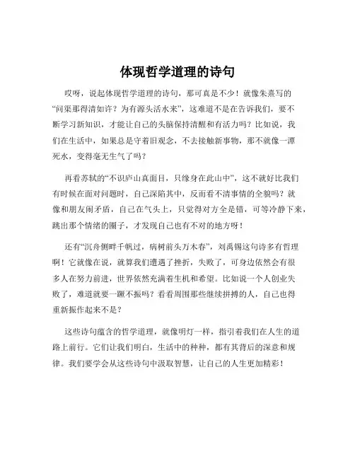 体现哲学道理的诗句