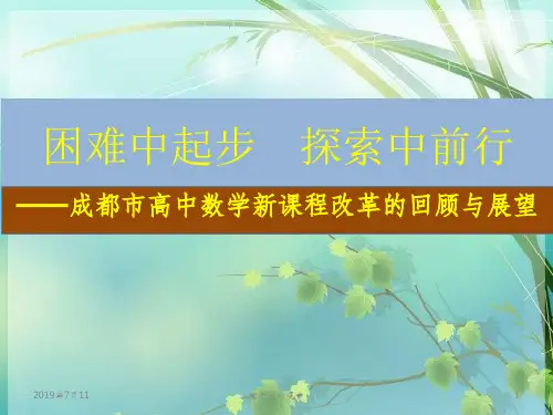 高中数学新课程改革的回顾与展望.x PPT课件 图文