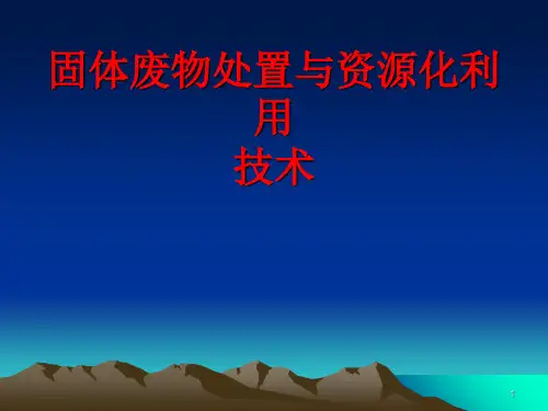 工业固体废物处理与处置ppt课件