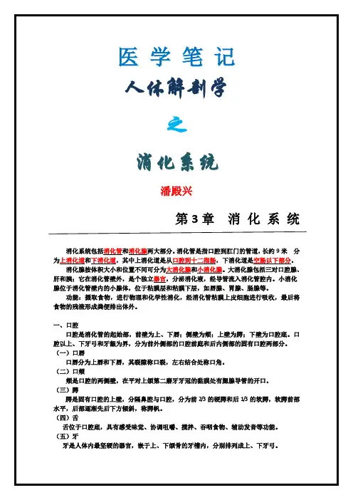 医学笔记：人体解剖学之消化系统汇总