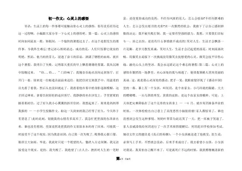 初一作文：心灵上的感悟
