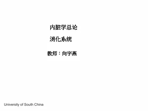 内脏学总论消化系统