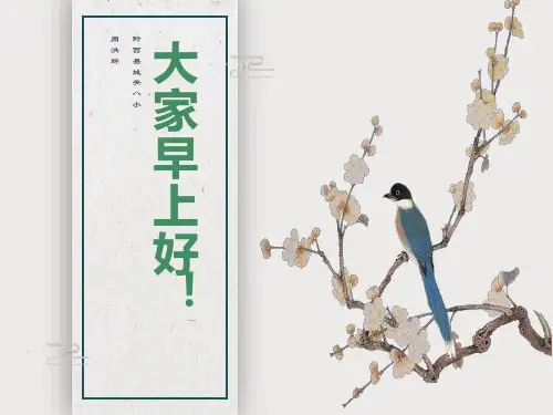 《为中华之崛起而读书》课件