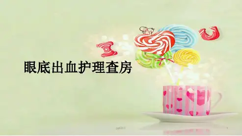眼底出血护理查房  ppt课件