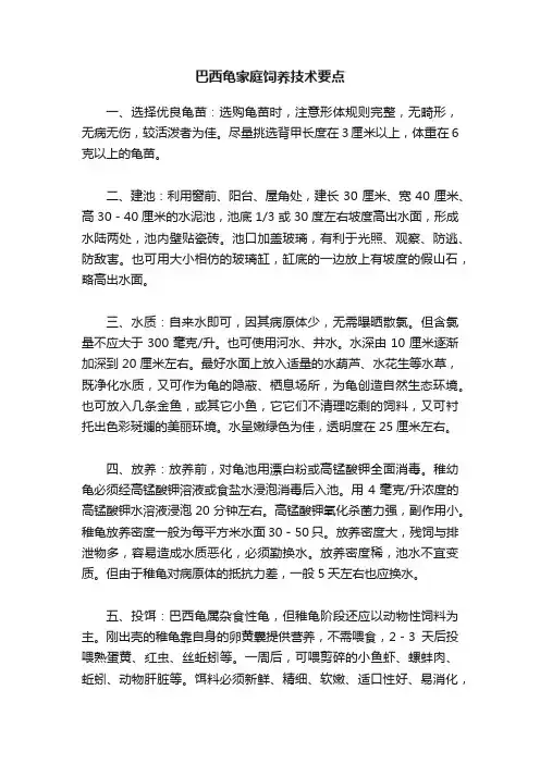 巴西龟家庭饲养技术要点