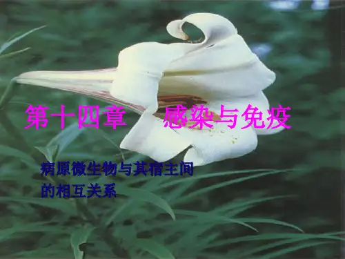 沈萍微生物学第十四章