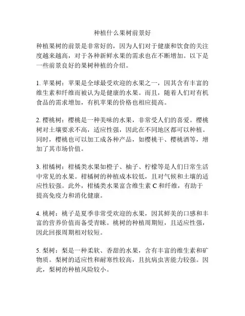 种植什么果树前景好