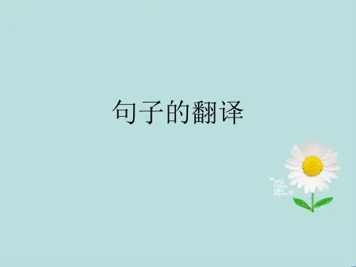翻译技巧