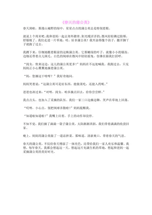 《春天的蒲公英》