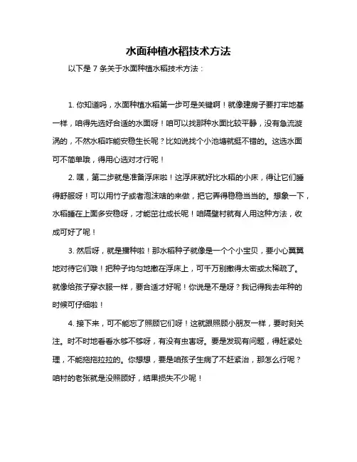 水面种植水稻技术方法