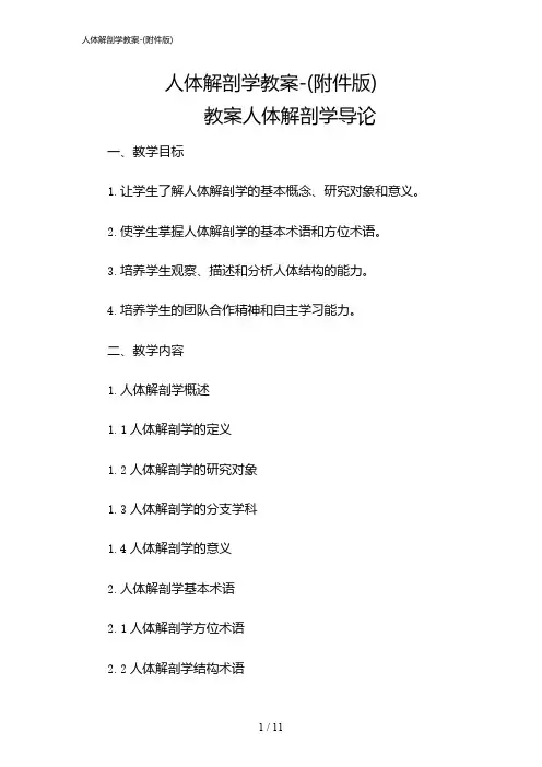 2024年人体解剖学教案-(版)