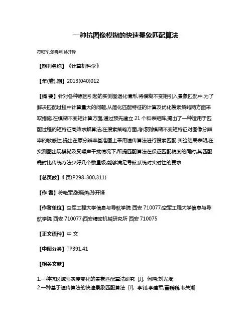 一种抗图像模糊的快速景象匹配算法