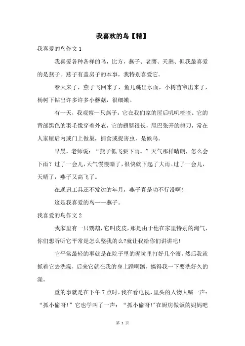 我喜欢的鸟【精】