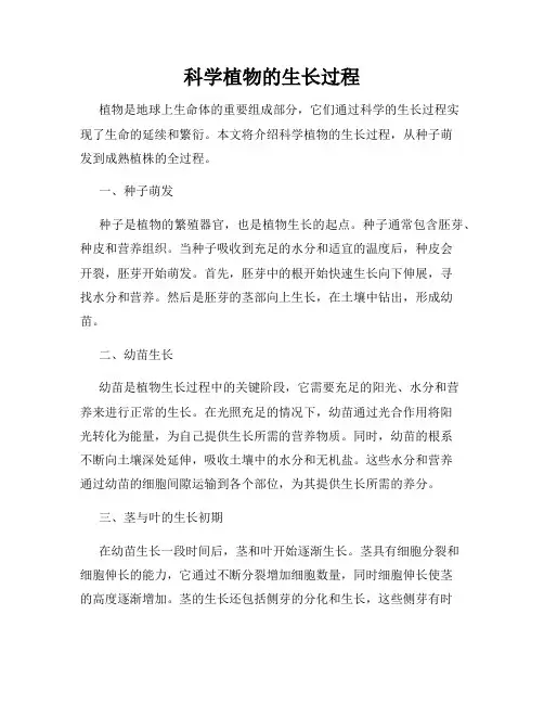 科学植物的生长过程