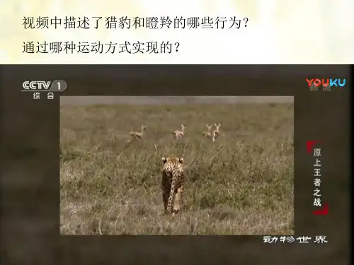 人教版生物八年级上册第二章《动物的运动和行为》课件