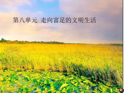 第八单元精品课件