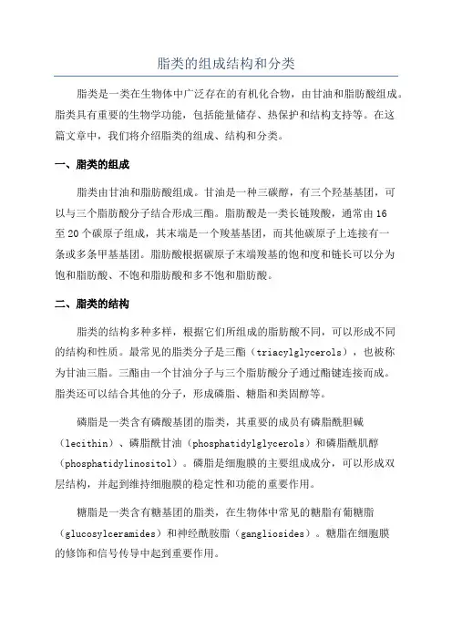 脂类的组成结构和分类