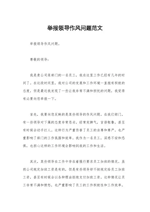 举报领导作风问题范文