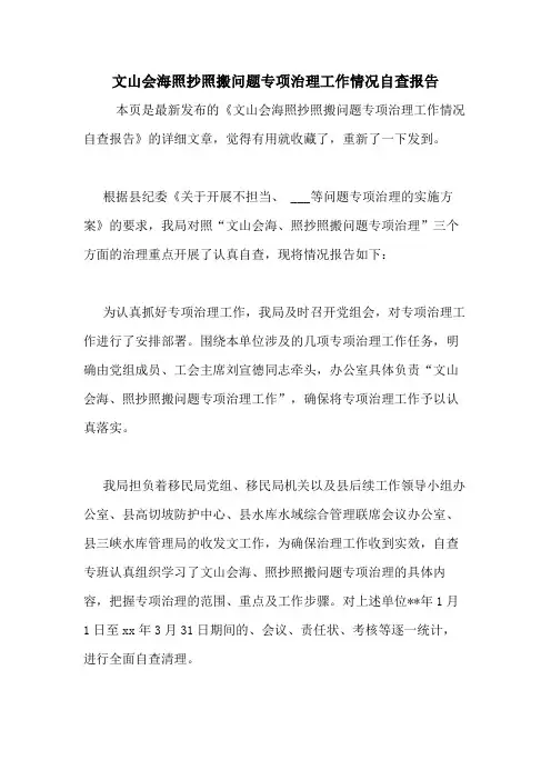 2020年文山会海照抄照搬问题专项治理工作情况自查报告