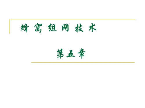 第五章 蜂窝组网技术