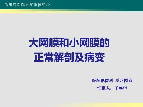 培训_大网膜和小网膜的正常解剖及病变