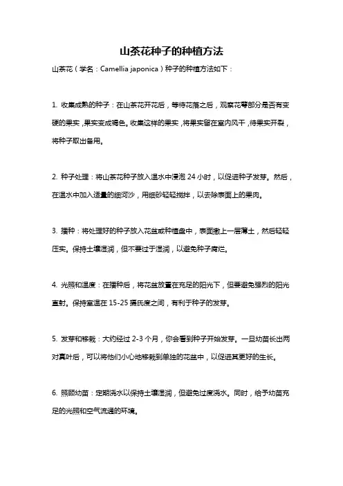 山茶花种子的种植方法