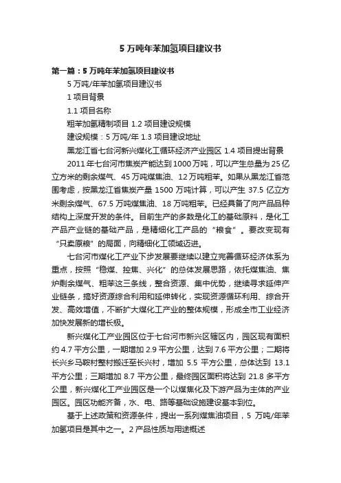 5万吨年苯加氢项目建议书