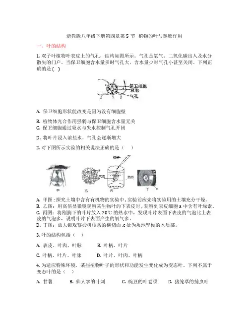浙教版八年级下册第四章4.5《植物的叶和蒸腾作用》培优训练(含答案)