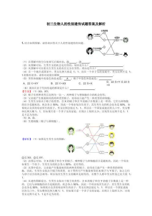初三生物人的性别遗传试题答案及解析
