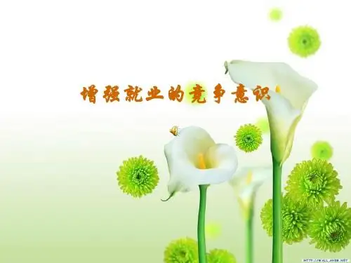增强就业的竞争意识(PPT38张)