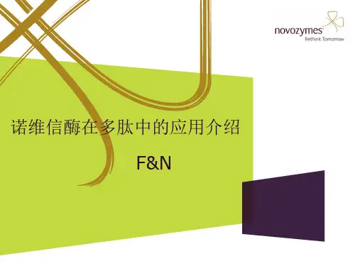 诺维信酶在多肽中的应用介绍(大豆肽方案 )多肽苦味