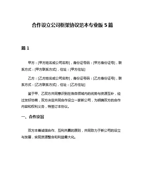 合作设立公司框架协议范本专业版5篇