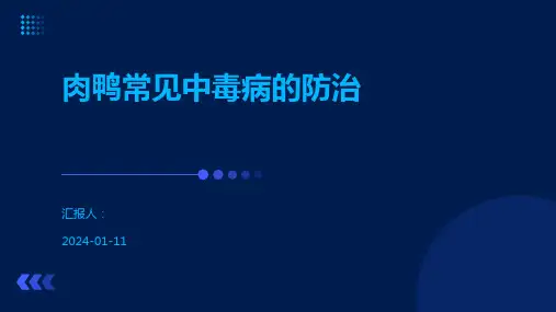 肉鸭常见中毒病的防治