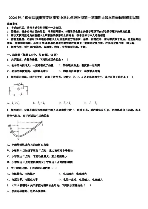 2024届广东省深圳市宝安区宝安中学九年级物理第一学期期末教学质量检测模拟试题含解析
