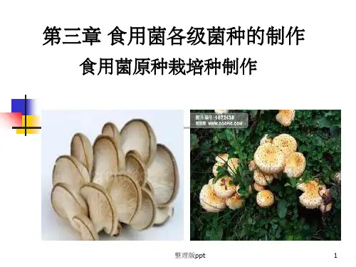 食用菌各级菌种的制作