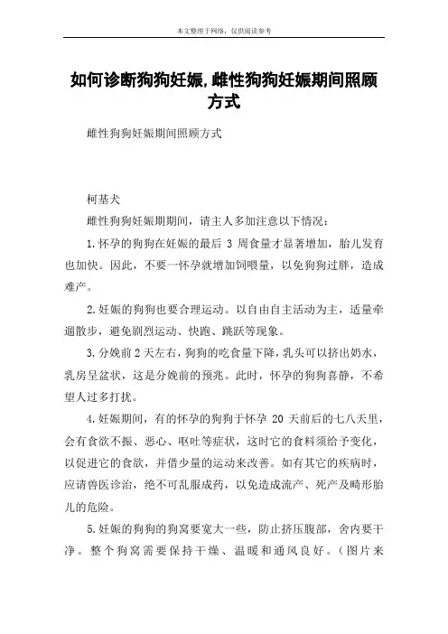 如何诊断狗狗妊娠,雌性狗狗妊娠期间照顾方式