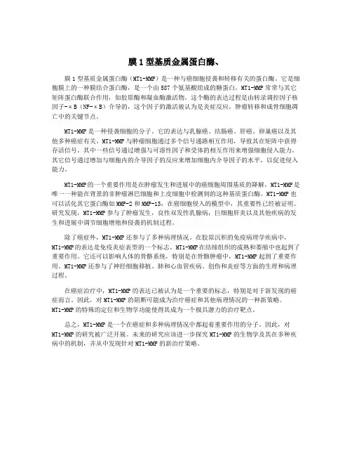 膜1型基质金属蛋白酶、