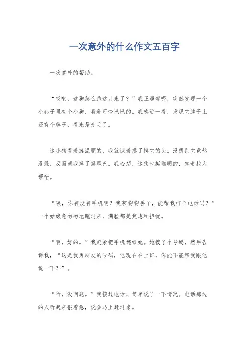 一次意外的什么作文五百字