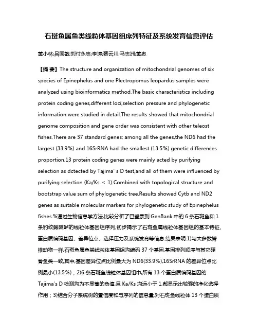 石斑鱼属鱼类线粒体基因组序列特征及系统发育信息评估