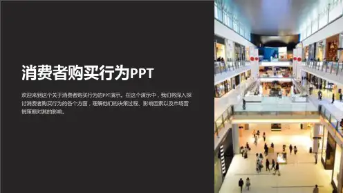 消费者购买行为PPT