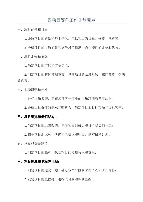 新项目筹备工作计划要点