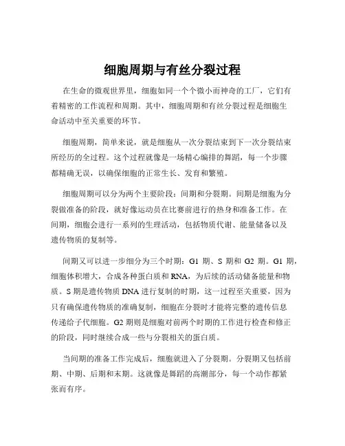 细胞周期与有丝分裂过程